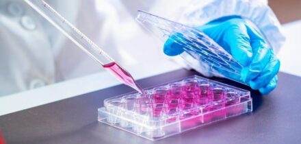 onstlag-zonder-ww-uitkering-hanze-advocaat