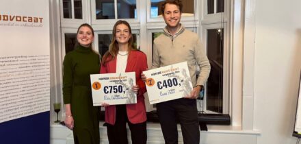 hanze-scriptieprijs-het-winnende-artikel-van-mila-nanulaitta-cover-2